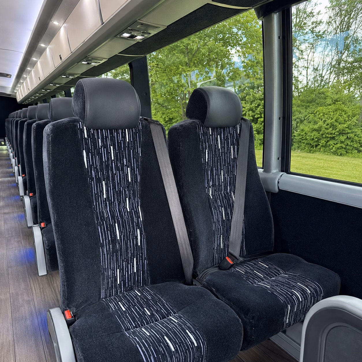 compare buses in minutes not days